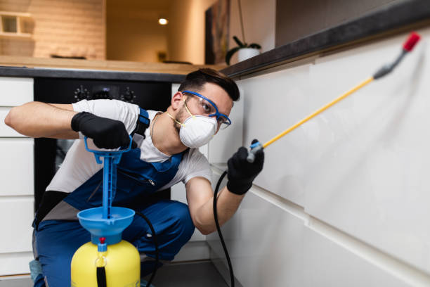 Best Emergency Pest Control  in Capitan, NM