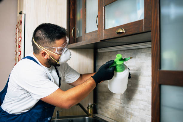 Best Affordable Pest Control Services  in Capitan, NM
