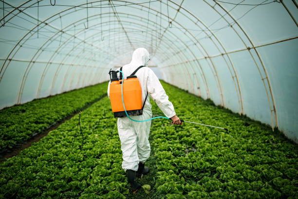 Best Local Pest Control Services  in Capitan, NM