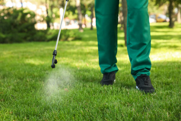 Trusted Capitan, NM Pest Control Experts