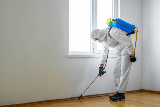Best Commercial Pest Control Services  in Capitan, NM