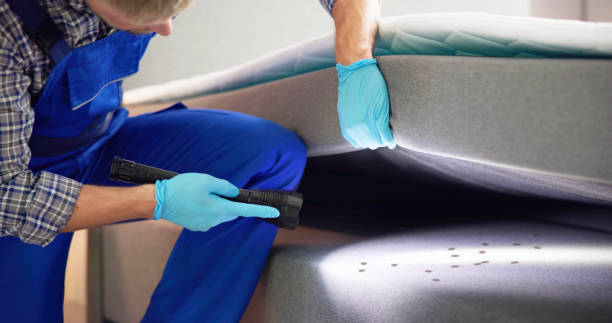Best Best Pest Control Companies  in Capitan, NM