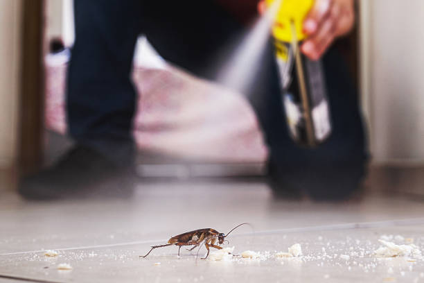 Best Cockroach Control Services  in Capitan, NM