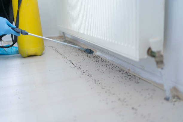 Best Pest Control Treatment  in Capitan, NM
